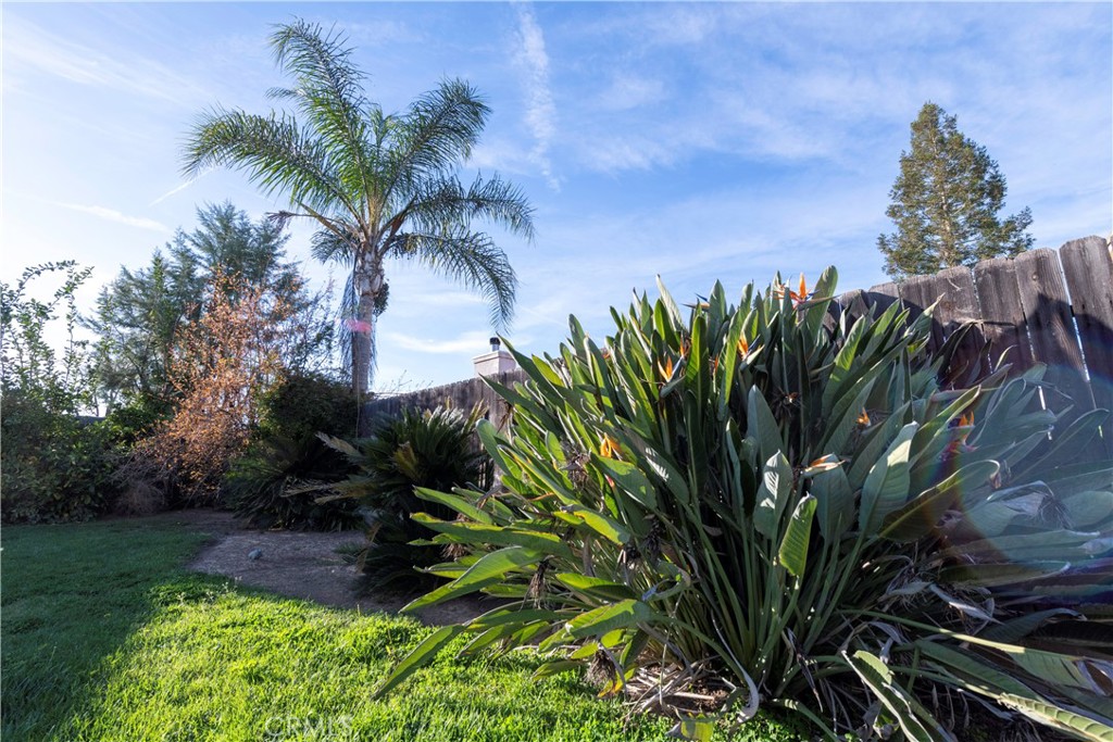 4514 W Oswego, Fresno, CA 93722