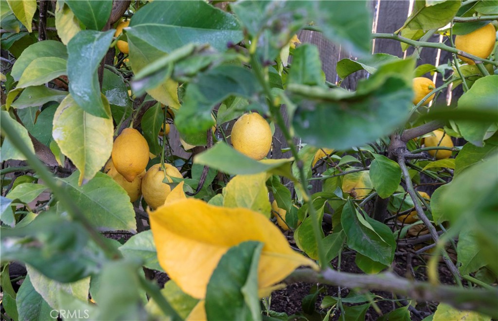 4514 W Oswego, Fresno, CA 93722