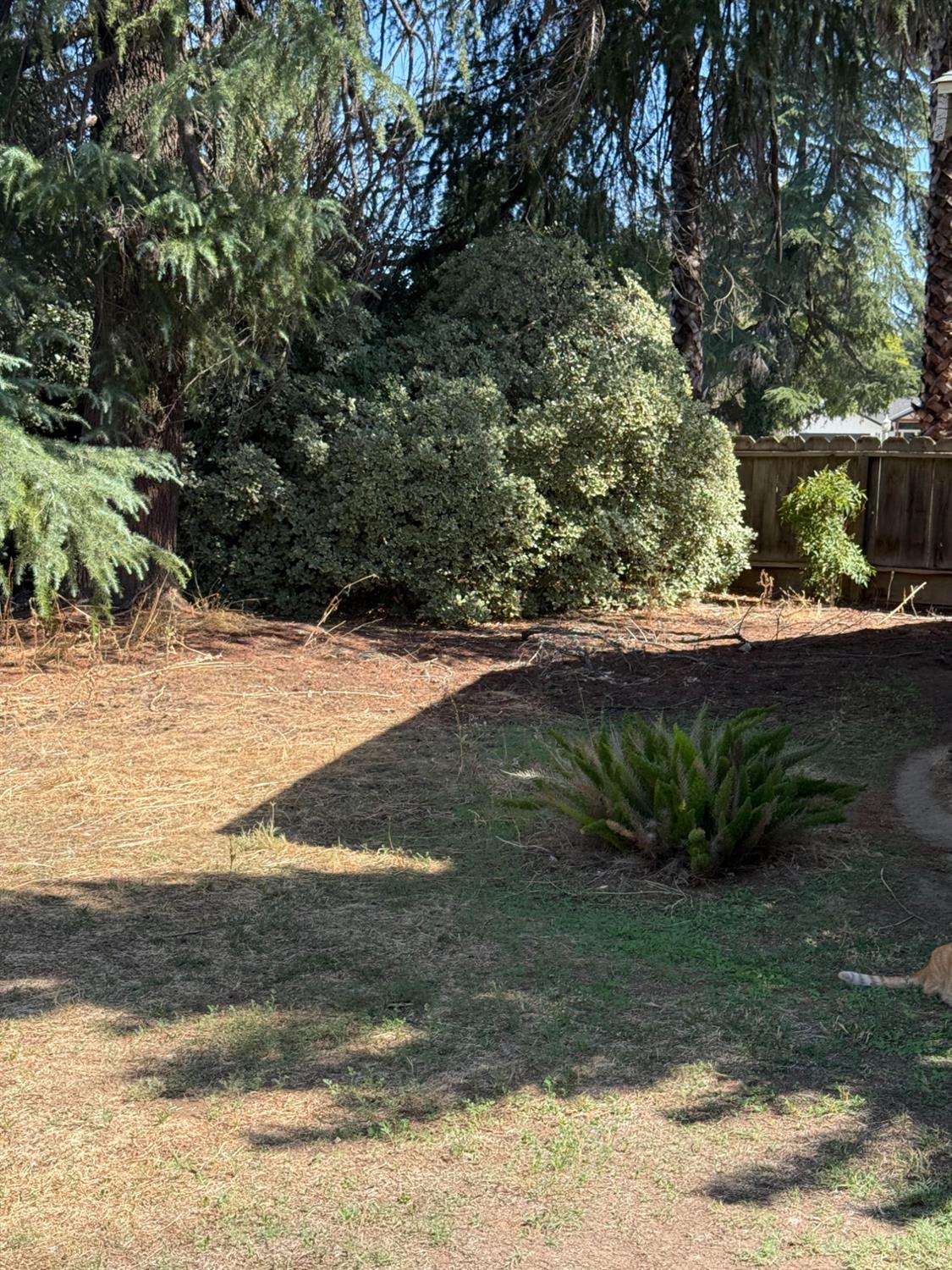 742 S Park Circle Dr, Fresno, CA 93727