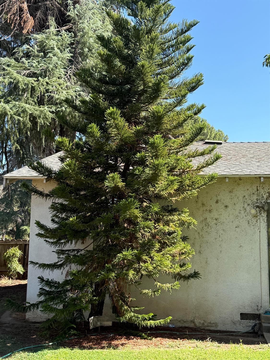 742 S Park Circle Dr, Fresno, CA 93727