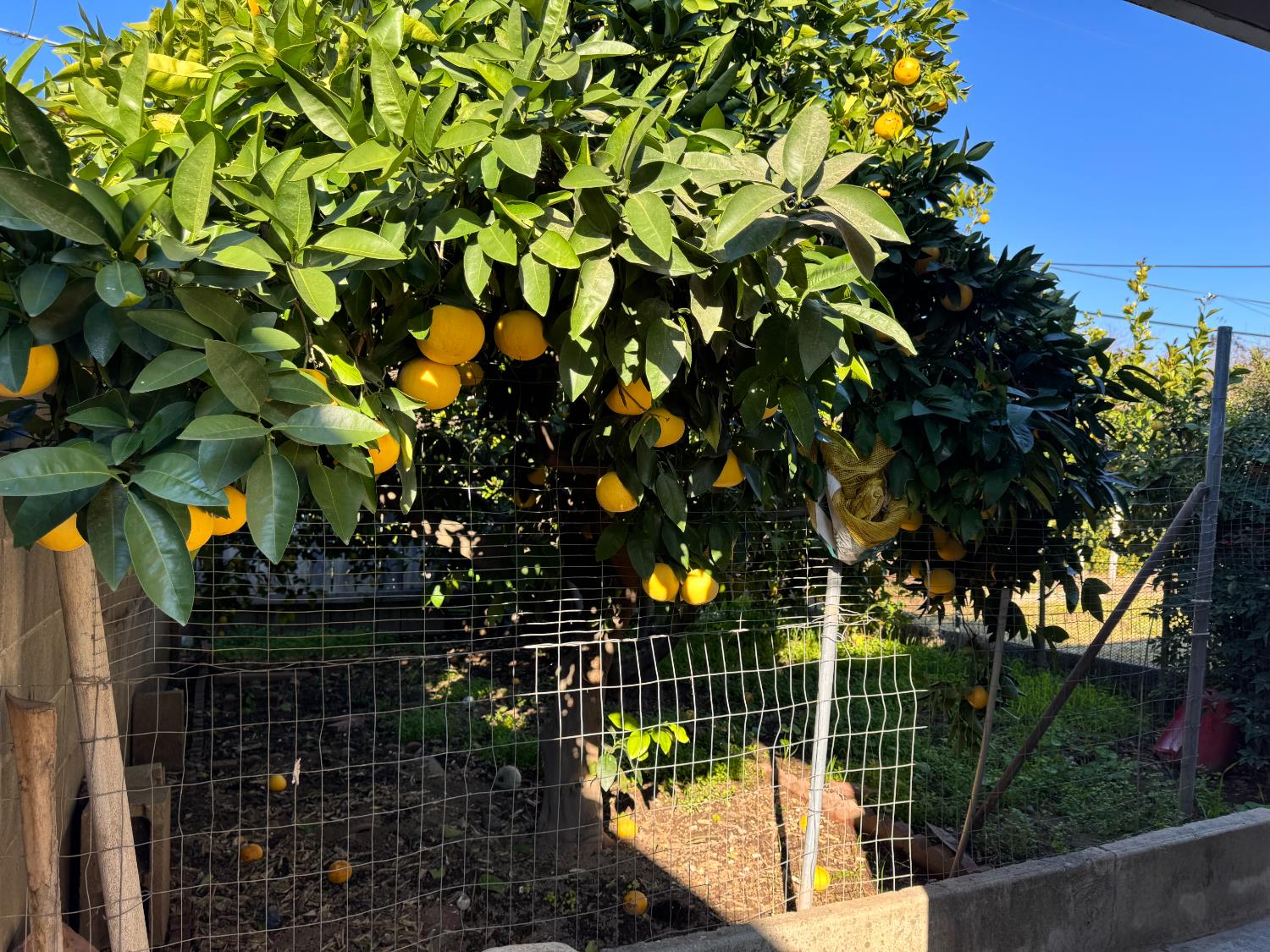 1128 W Michigan Ave, Fresno, CA 93705