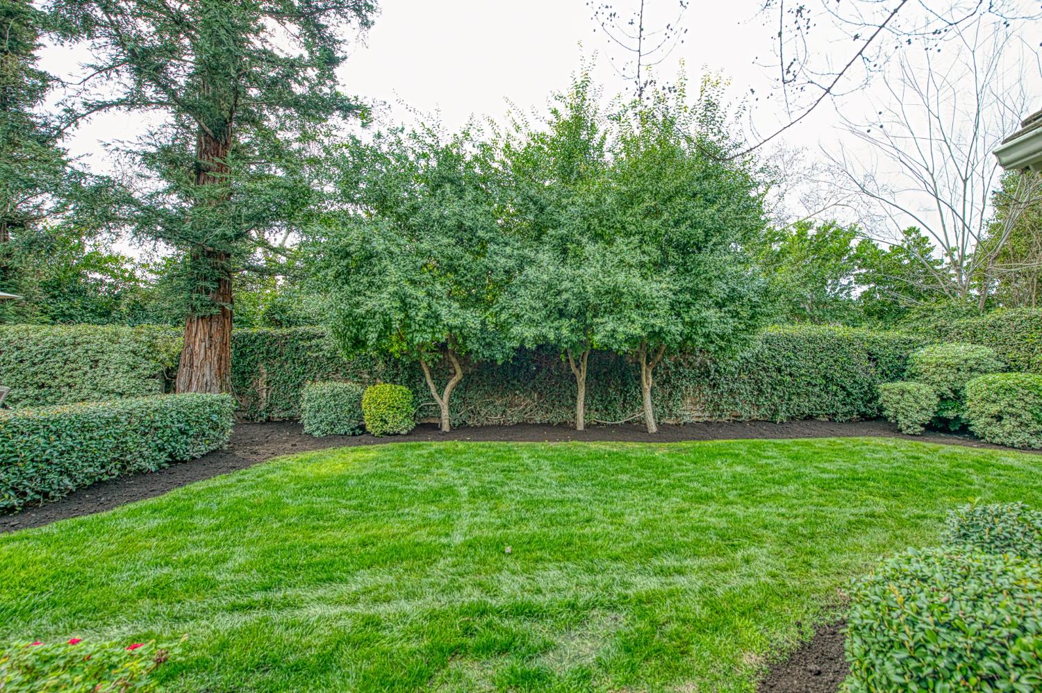 9225 N Bramwell St, Fresno, CA 93720