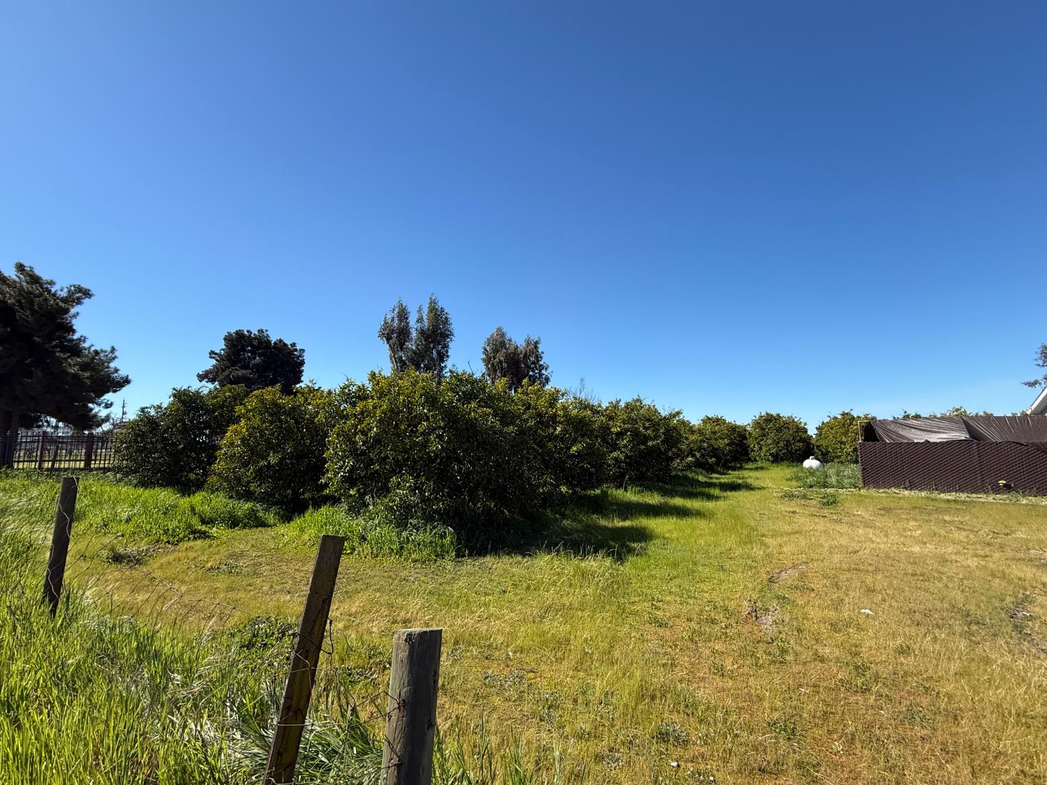 6545 S Cedar Ave, Fresno, CA 93725