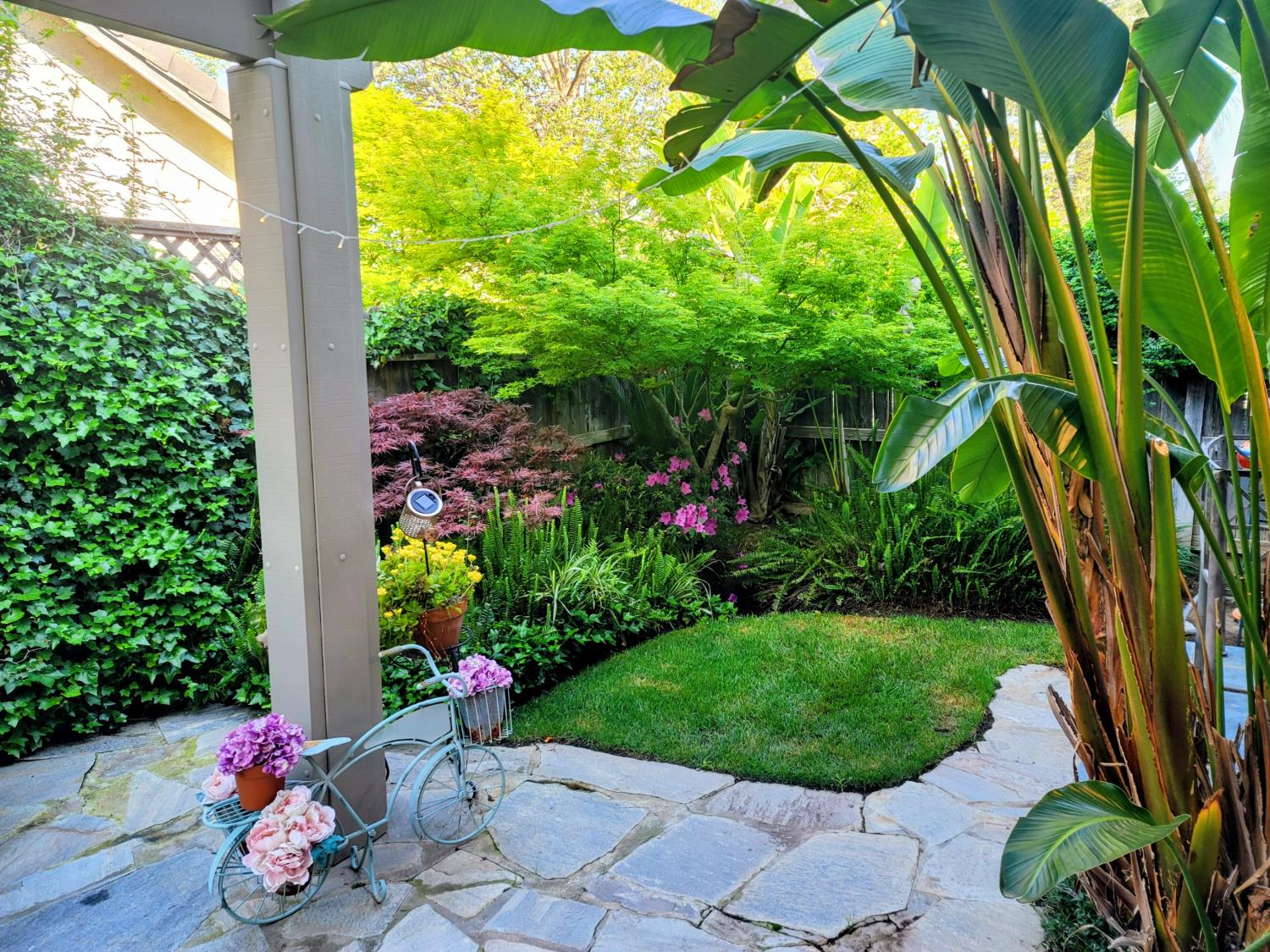 2827 E Shea, Fresno, CA 93720