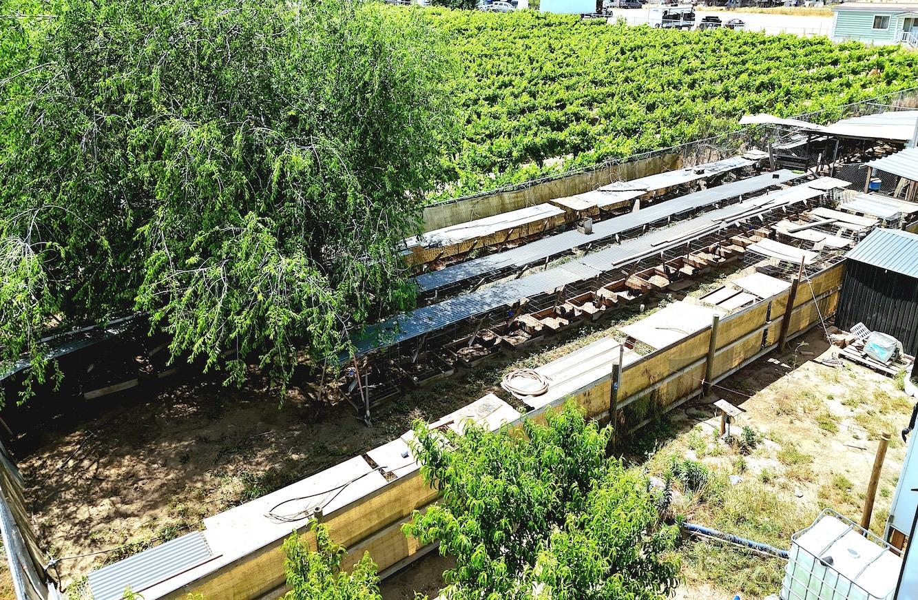 1261 E Adams Ave, Fresno, CA 93725