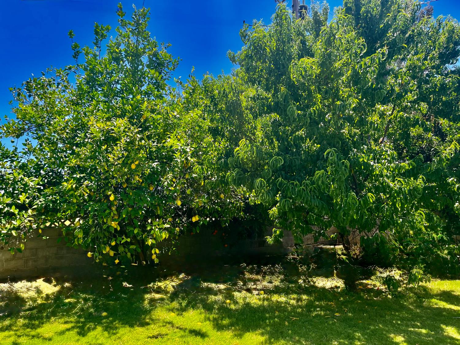 1111 W Kearney Blvd, Fresno, CA 93706